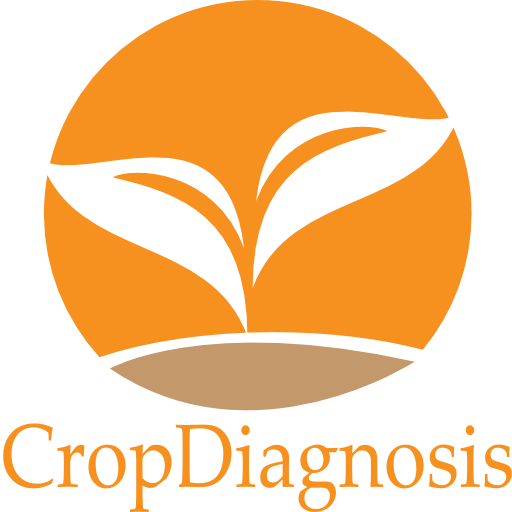 crop-diagnosis-icon-plus-text(512)